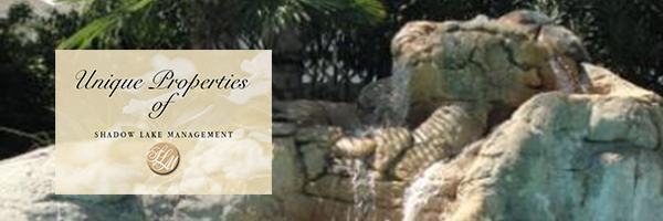 Shadowlake Management logo with water feature in the background